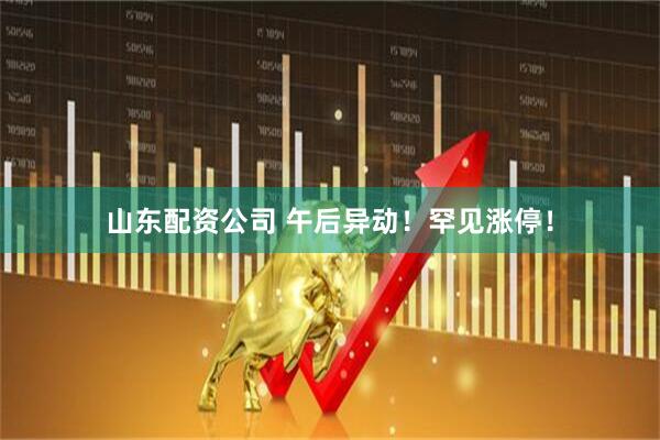 山东配资公司 午后异动！罕见涨停！