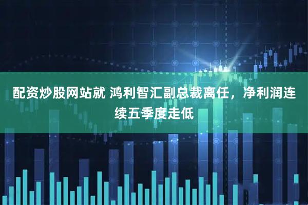 配资炒股网站就 鸿利智汇副总裁离任，净利润连续五季度走低